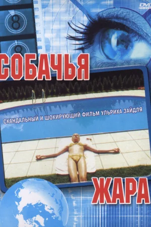 Собачья жара 
