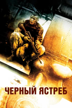 Черный ястреб 